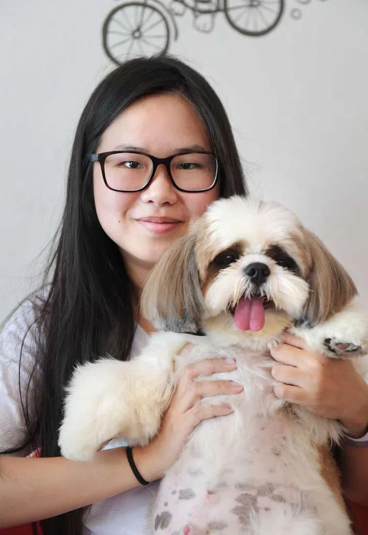 MUFFIN THE SHIH TZU