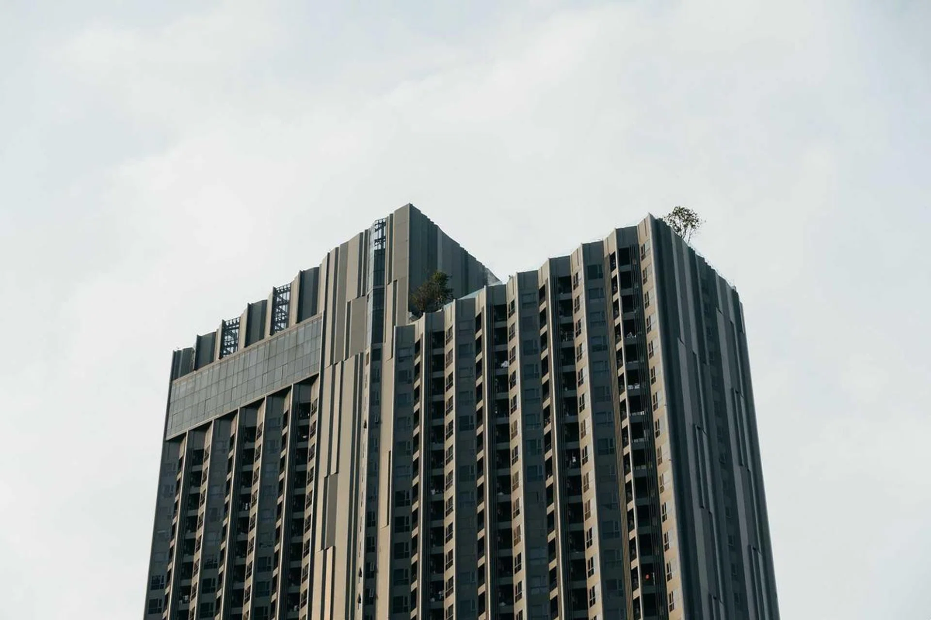 Renting in Singapore: 9 Tips to find cheapest rental in Singapore (Photo Pexels Markus Winkler)