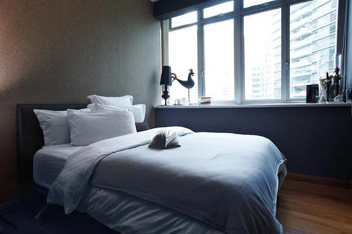 8046-sirius-art-photo-7-7