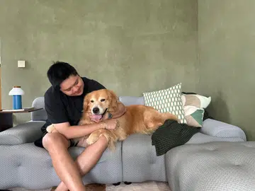 A TikTok-famous golden retriever & owner’s 1-bedroom condo in Upper Thomson