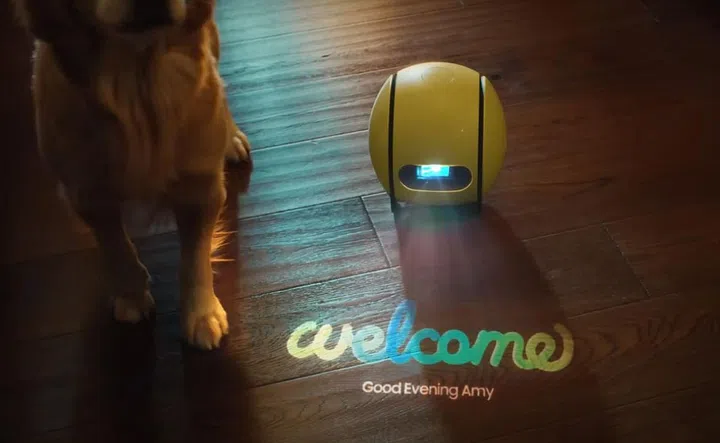 Samsung Ballie robot 2024 projecting the words 'Welcome. Good evening, Amy" on the floor, next to a golden retriever dog in a home. Photo Samsung.