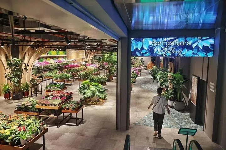 The garden centre’s basement retails exotic flowers such as orchids, pom pom and hydrangea, as well as terrariums.