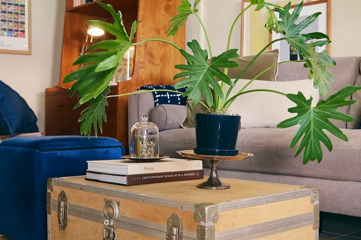 An old English trunk from Hermsie’s career now serves as the living room coffee table.
