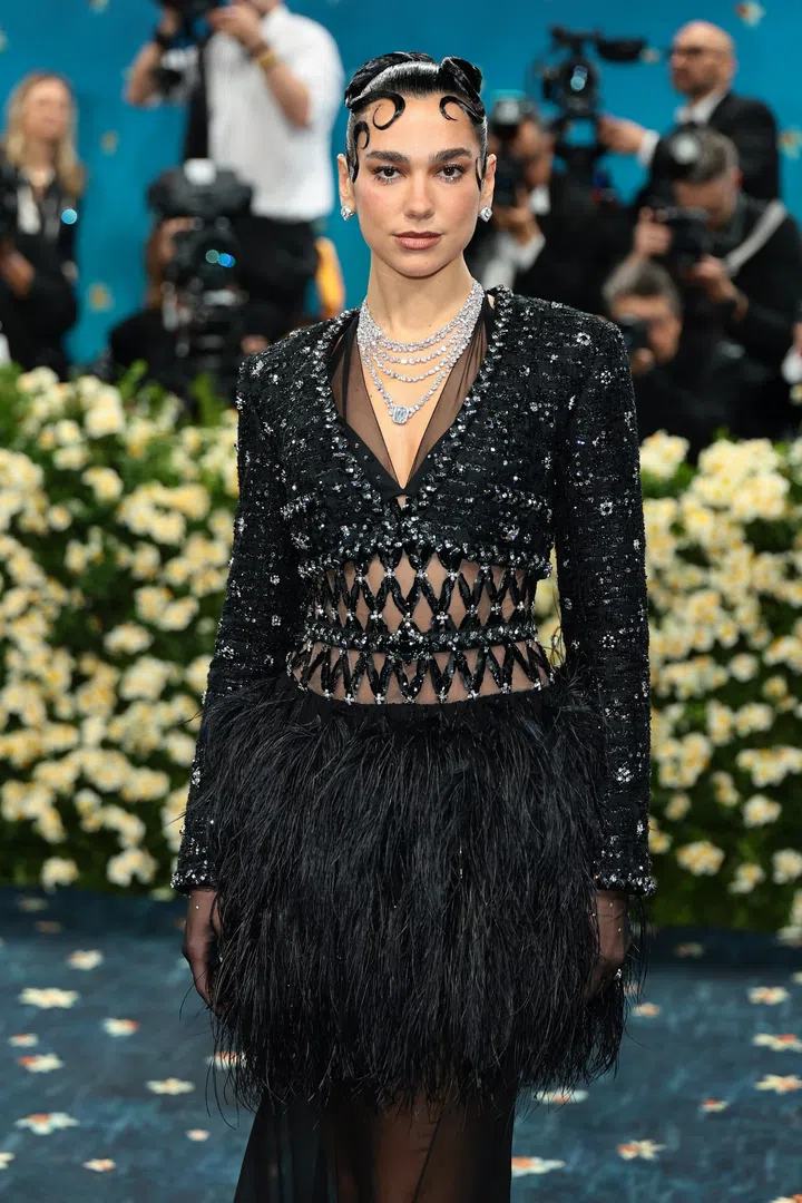 MET  Gala, MET Gala 2025