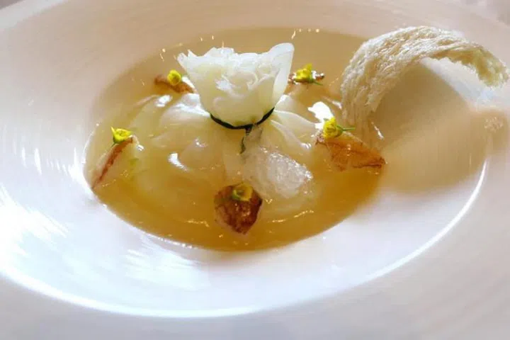 bird nest