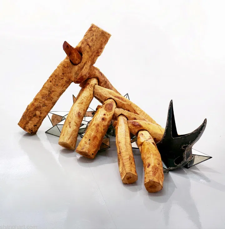 Tang Da Wu-She Asked the Forest for a Moment of Stillness, Photo courtesy of ShanghART Gallery 