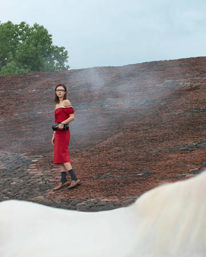 Miu Miu Chinese New Year 