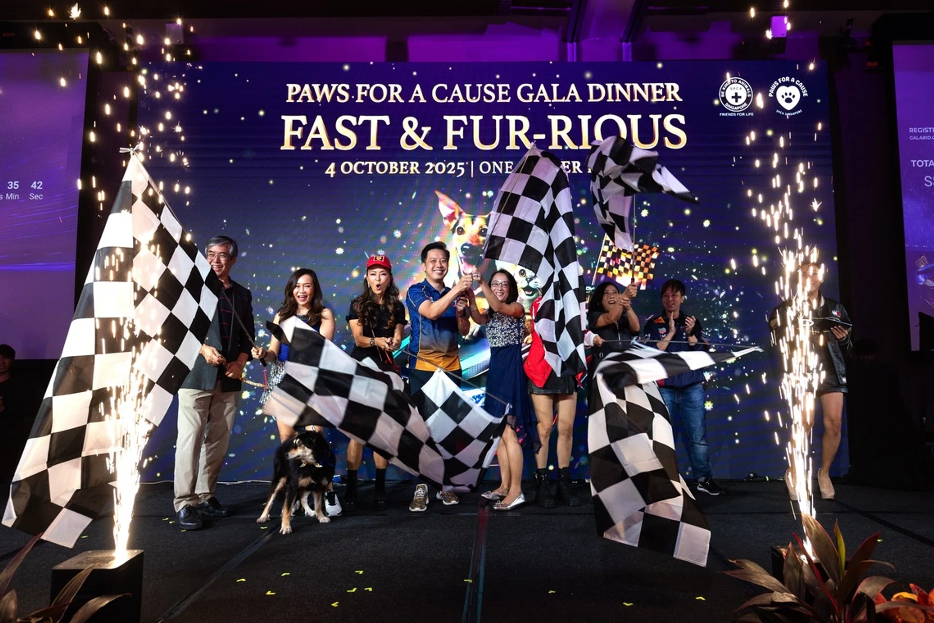 SPCA, Paws for a Cause Charity Gala
