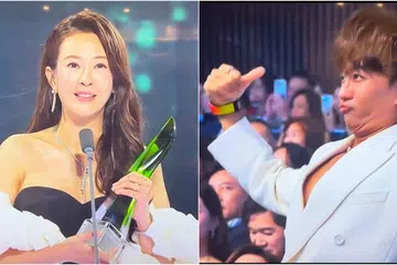 Star Awards,Star Awards 2024