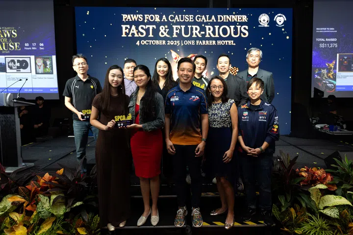 SPCA, Paws for a Cause Charity Gala