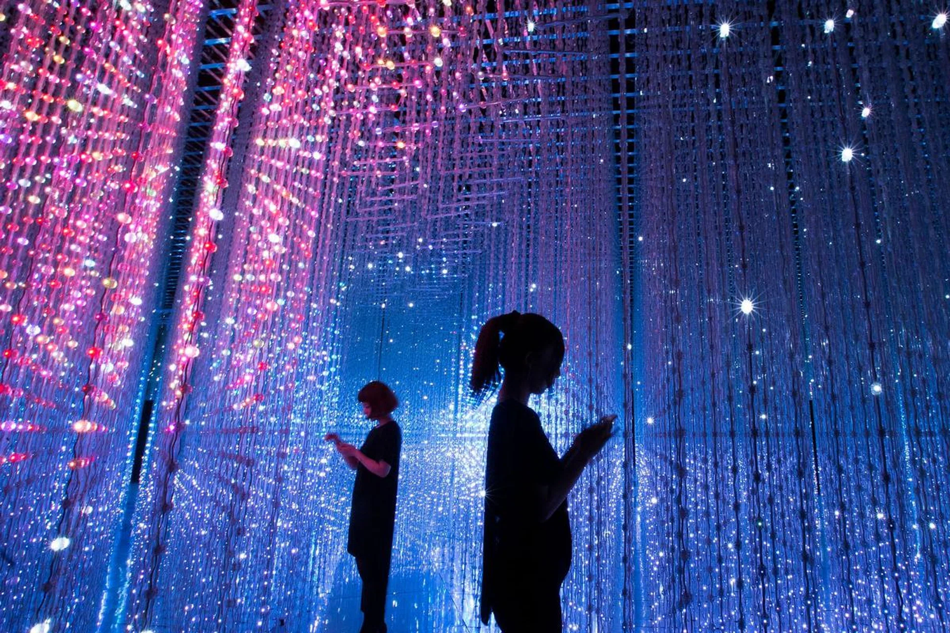 TeamLab, Artscience Musem