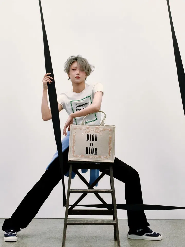 刘雨昕演绎2026春夏Dior Book Tote。