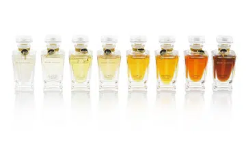 Fragrance, Perfume, Father's day, 香水，父亲节
