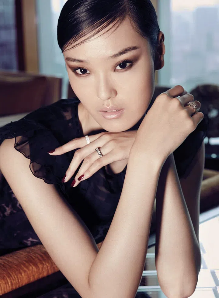 iconhy4067cropwithout-add-on