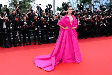 Cannes Film Festival, red carpet, celebs