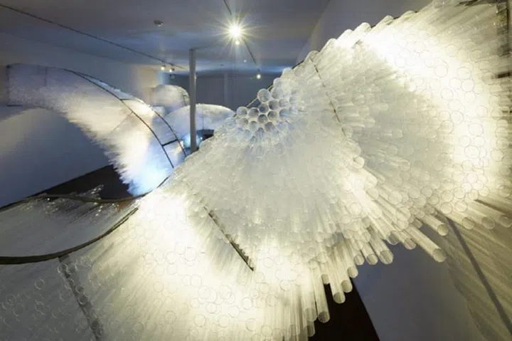 A confrontation between the python and the young man OH You kyeong (Installation)