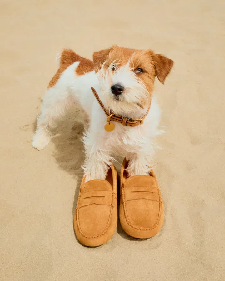 Tod’s Vacanze Italiane