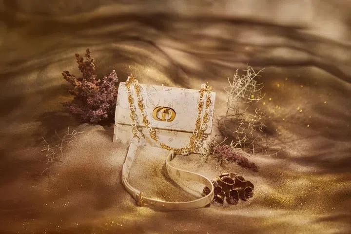 Fashion,Holiday Collection,Designer Bag