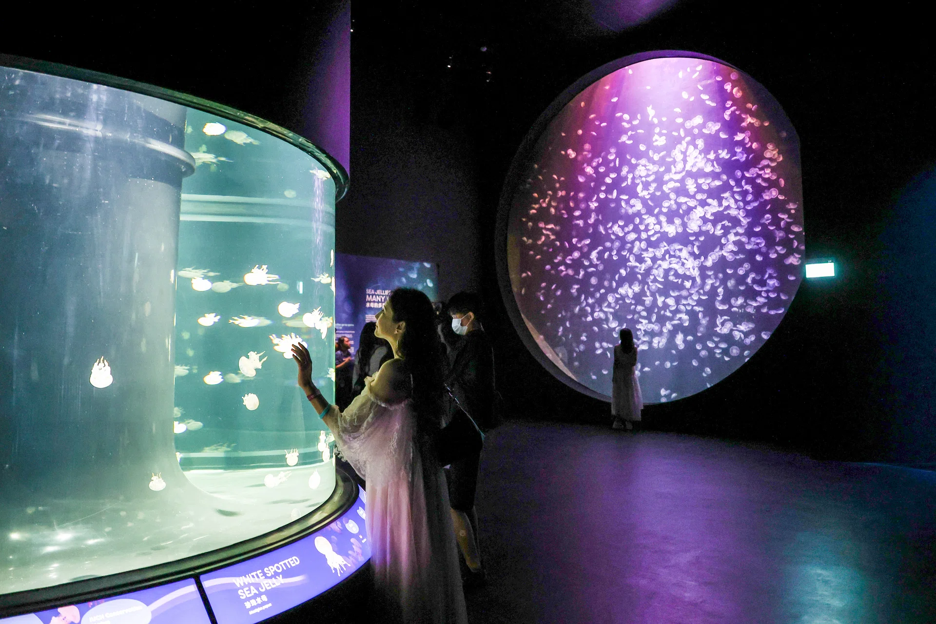 Singapore Oceanarium