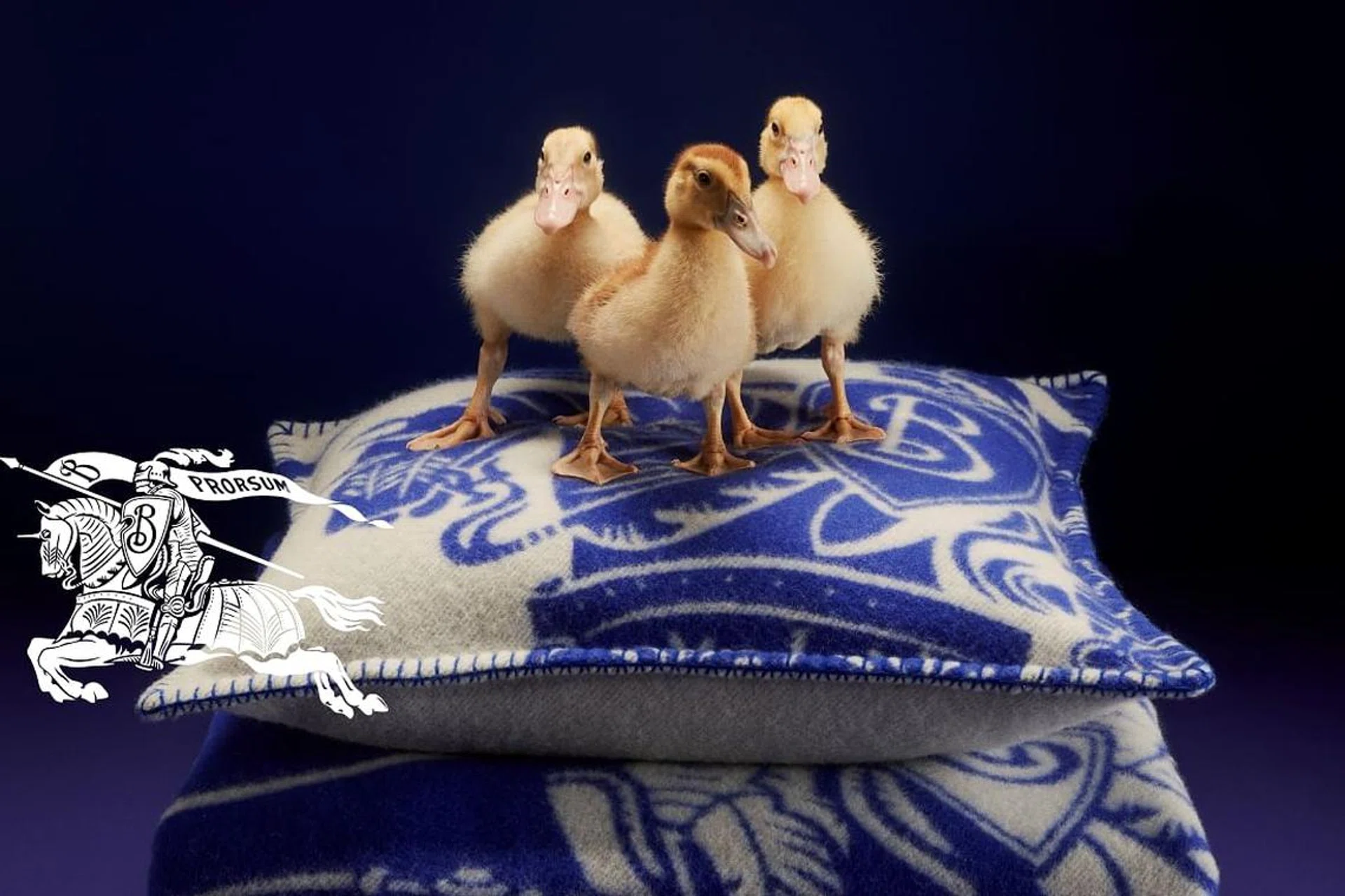 Burberry Holiday Collection,Daniel Lee