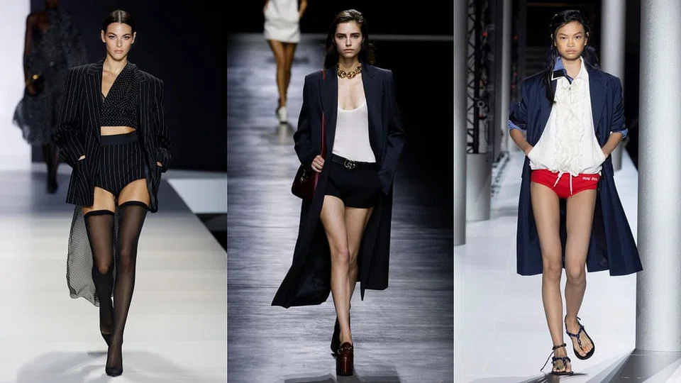 左右：Dolce & Gabbana、Gucci、Miu Miu