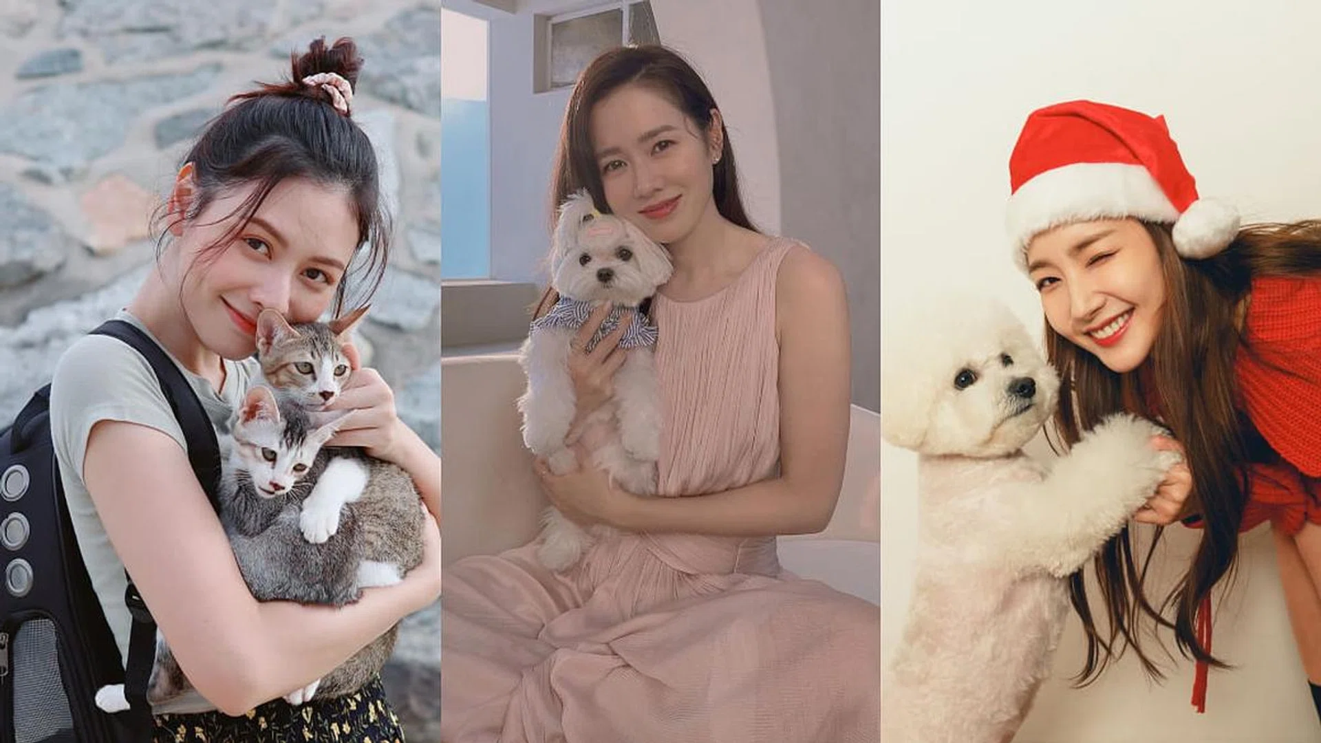 Pets, Lifestyle, Celebrity, Park Min Young, Jolin Tsai, Selina Ren, Ella Chen, Dog, Cat, Jesseca Liu, Jeremy Chan, Xiao Zhan, Park Seo Joon,Shu Qi,Hong Ling,Kim Lim,Adeline Teo,Nick Teo, He Ying Ying