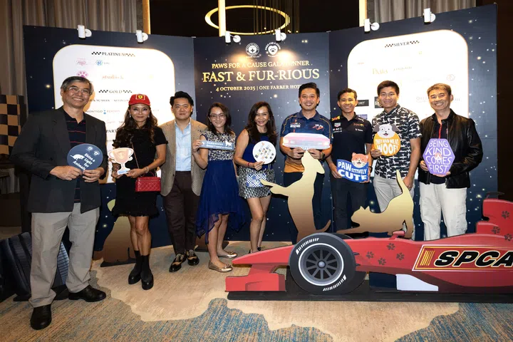 SPCA, Paws for a Cause Charity Gala