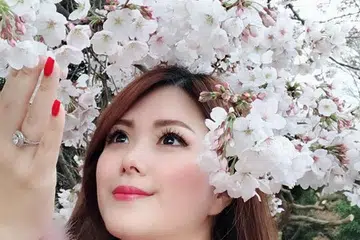 Sakura, Sakura season, Japan, trave