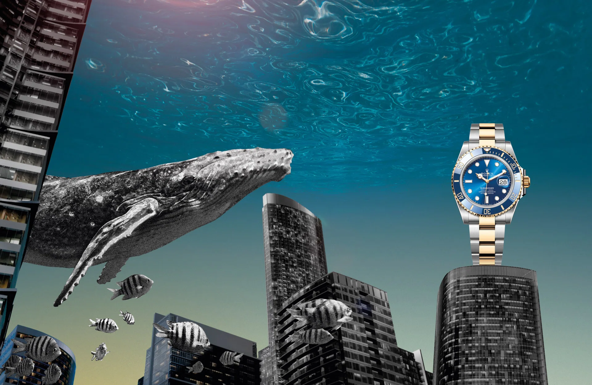 Dive watches, Diving watches, Watches, Rolex