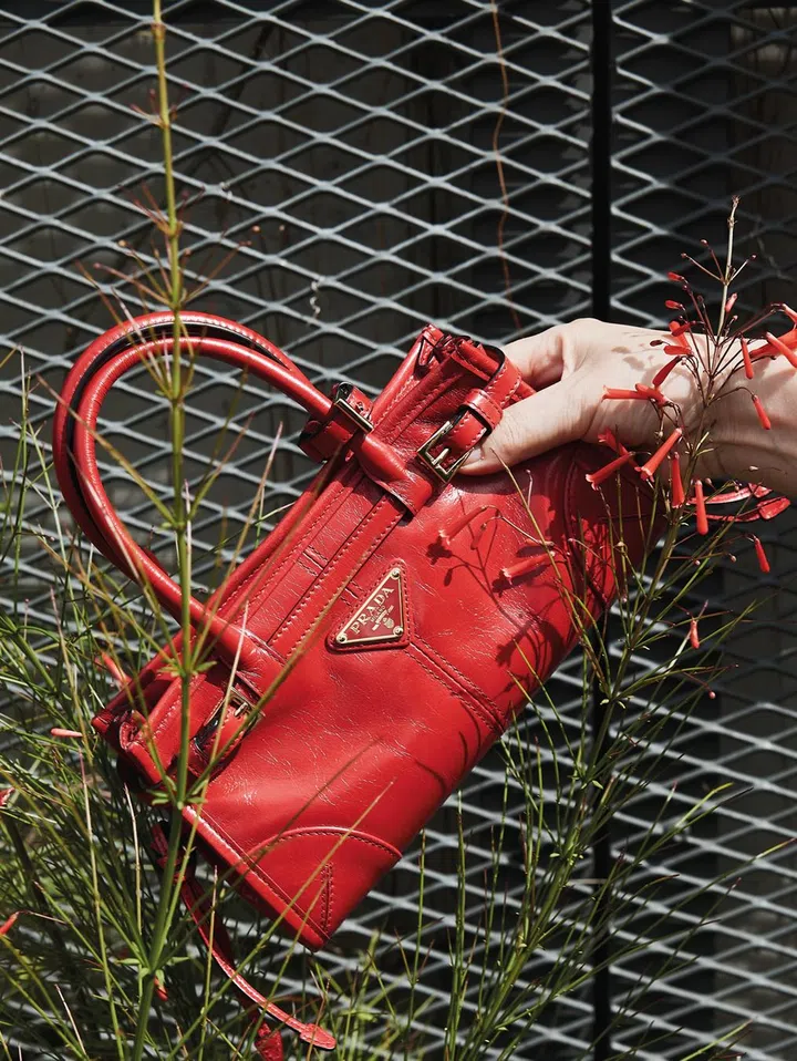 流行包款, 名牌包包