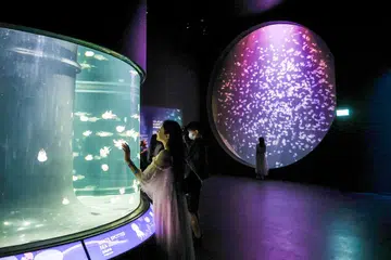 Singapore Oceanarium