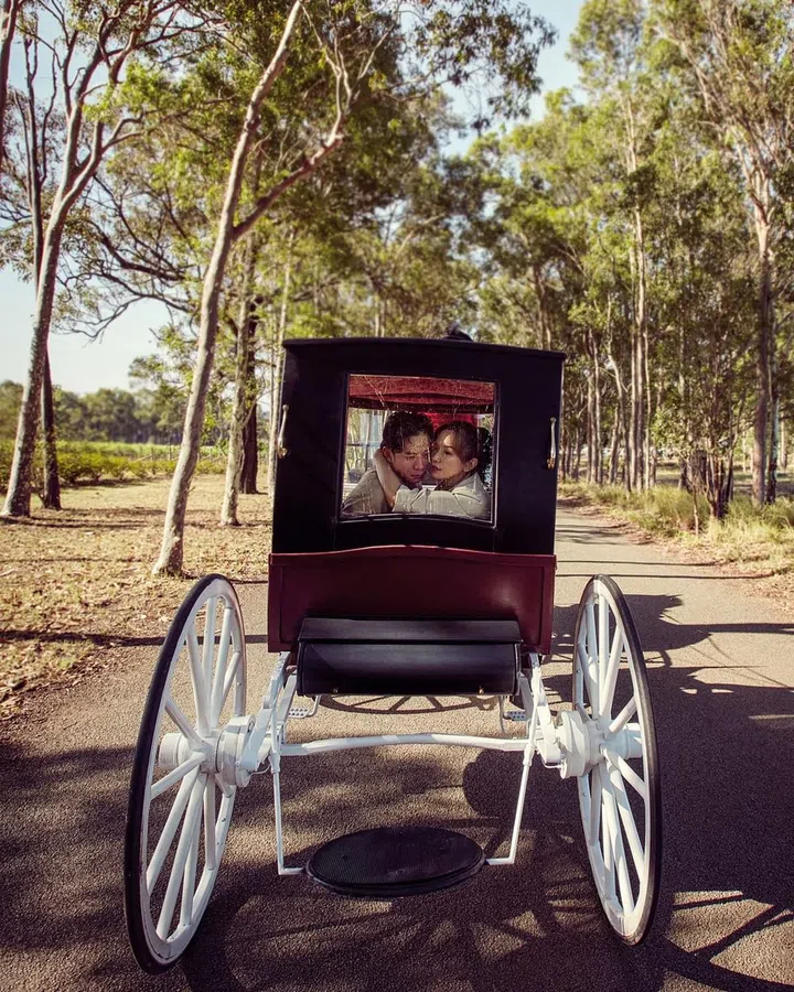 乘坐精心修复的复古马车，穿行于葡萄园之间，尽享品鉴葡萄酒 的独特体验，感受猎人谷的自然风光与悠闲韵味。outfit: 戚玉武 & 白薇秀 / Tod‘s