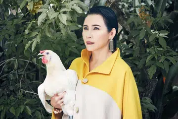 People, Videos, IGTV, Gardening, Home, Fanty Soenardy
