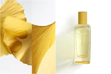 Hermes, 香水，Hermessence Ginseng Biloba Eau de Parfum