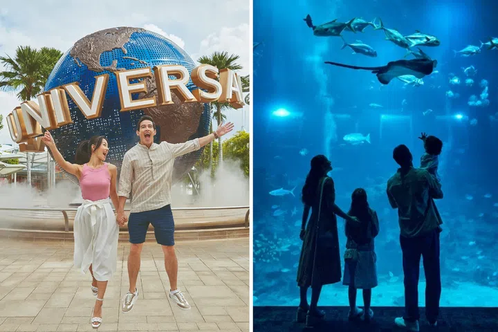 Enjoy thrilling rides at Universal Studios Singapore (left), or discover the wonders of the underwater world at Singapore Oceanarium.