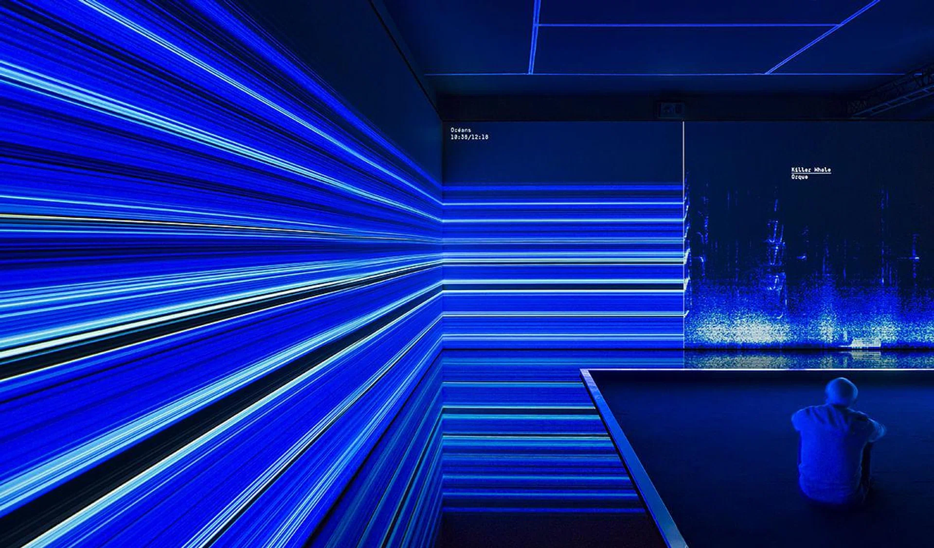 Bernie Krause，联合视觉艺术家协会，《动物大乐团》，2016年。展览“动物大乐团”现场,卡地亚当代艺术基金会，巴黎，2016年。Photo © Luc Boegly