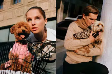 Luxury Brand Pet Accessories 