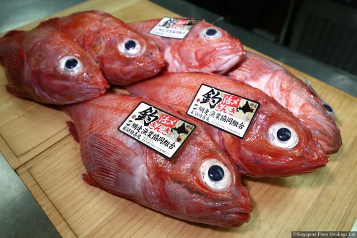 ?????????????????????????????????????????????????????????????Ki sho?????????Kinki??????????????????????????