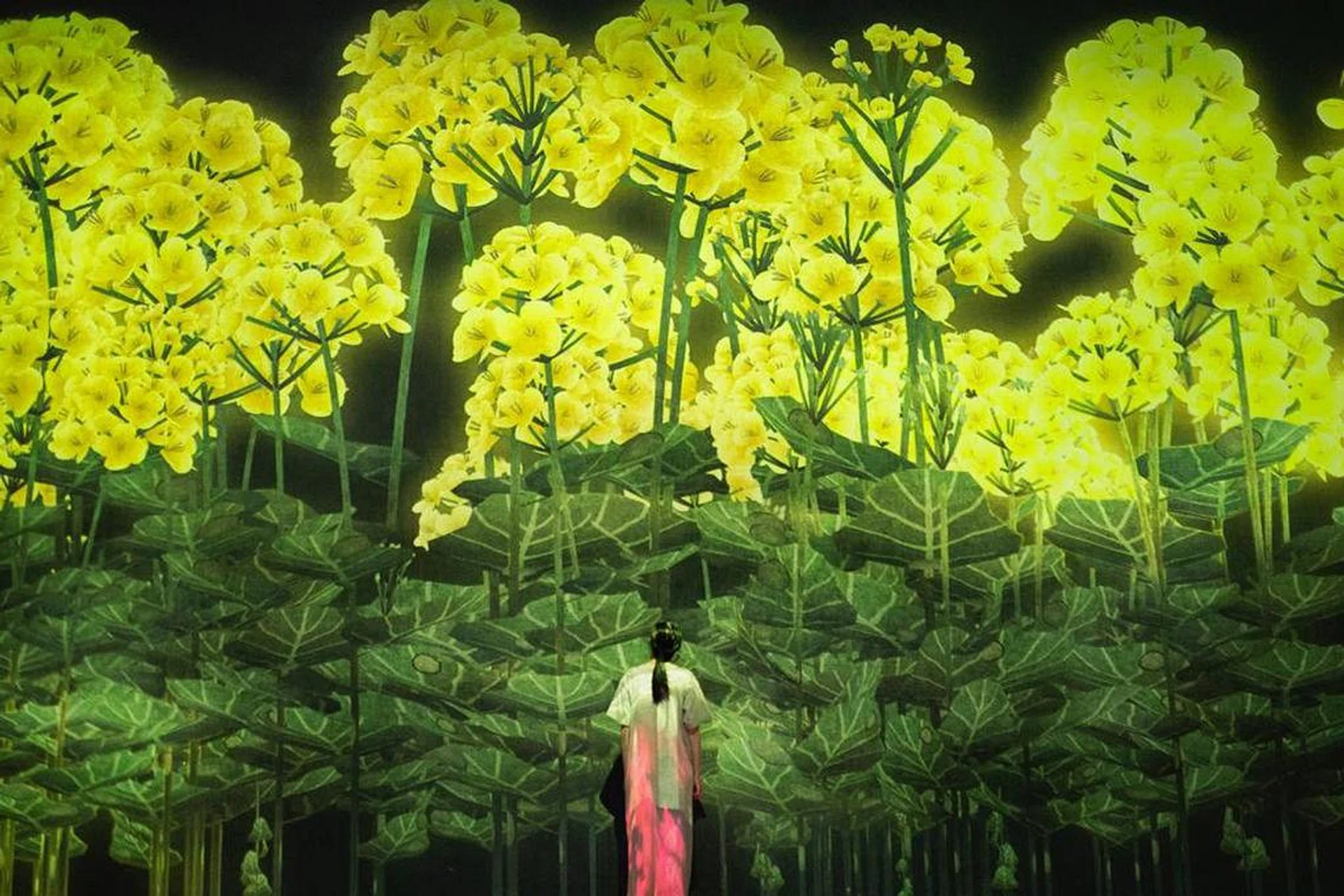 TeamLab, ArtScience Museum Singapore, 新加坡艺术科学博物馆