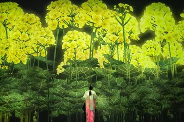 TeamLab, ArtScience Museum Singapore, 新加坡艺术科学博物馆