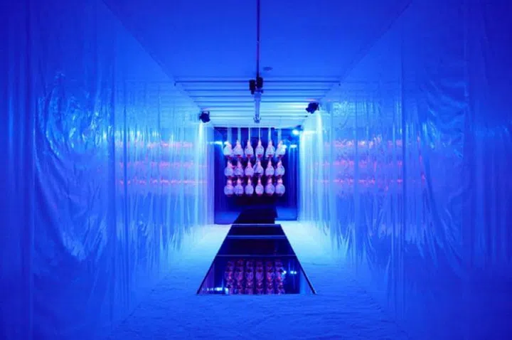 The blood-red sail to misunderstanding and tragedy Jihyun Boo (Installation)
