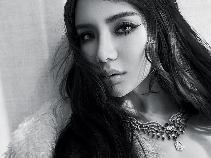 Kim LIm, 林慧俐