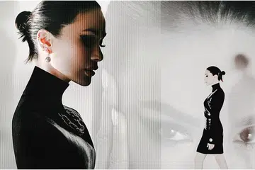 Heart Evangelista_hair