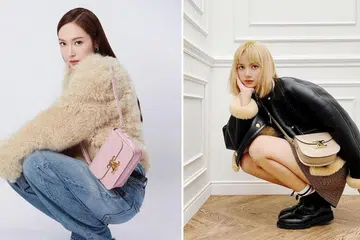 Celine,fashion,Luxury Handbags, Celebs IT Bag