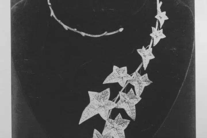 Boucheron, Histoire de Style, Untamed Nature
