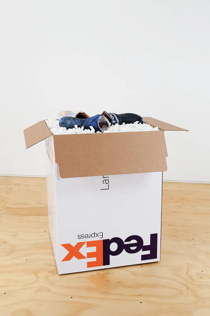 Josh Kline通过3D打印雕塑作品《No Vacation Days, Fedex Worker’s foot with Nike Sneaker》，以印有FedEx标志的箱子，填满泡沫填充物和人体 部件，直观呈现FedEx员工的不公平劳动条件，同时批判大企业将金钱和利润置于员工福祉之上的现象， 传递出强烈的不满。Image provided by Platform China Gallery