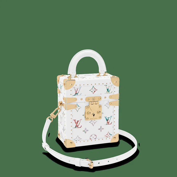 Louis Vuitton Camera Box