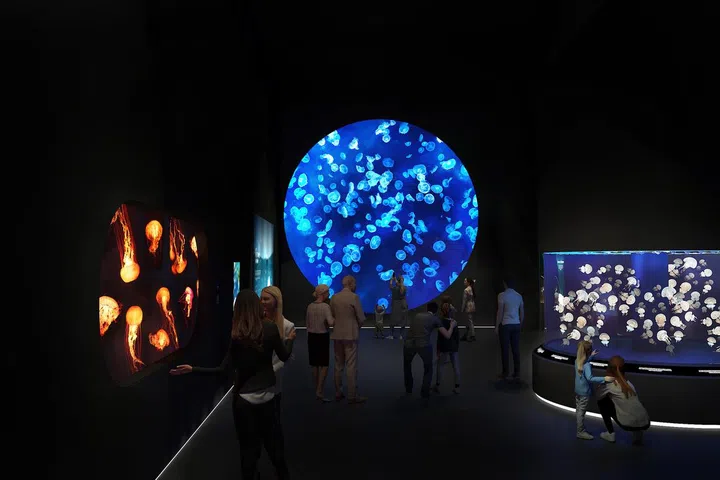  Singapore Oceanarium, Resort World Sentosa