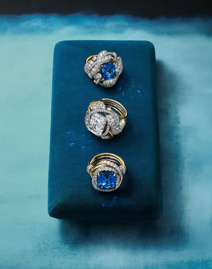 Tiffany & Co., Blue Book 2026, Blue Book High Jewellery, 蒂芙尼高级珠宝, Hidden Garden, 蒂芙尼(Tiffany & Co.) Blue Book 2026: Hidden Garden花语秘境