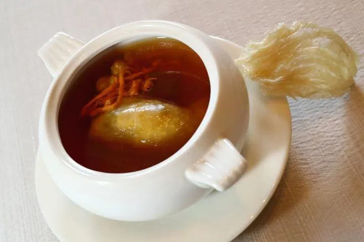 bird nest